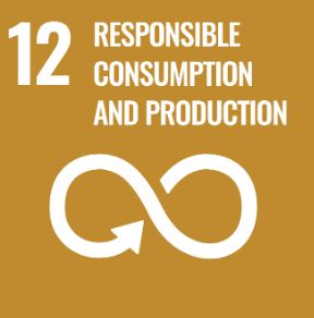 SDG 12 · Responsible Consumption & Production